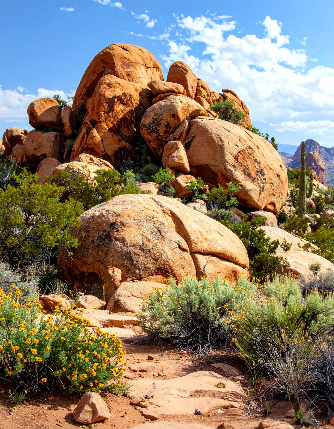 30 Stunning Arizona Landscape Ideas for Desert Homes - We Love Home Blog